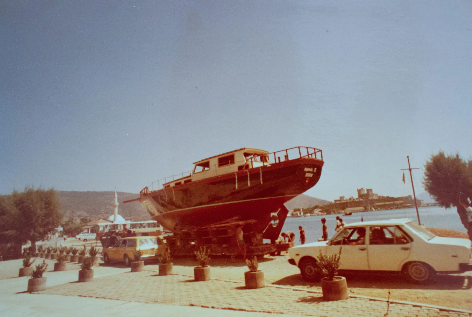 31